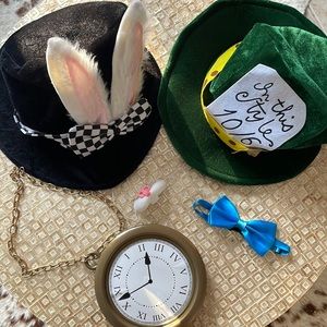 Alice in wonderland White Rabbit & Mad Hatter costumes